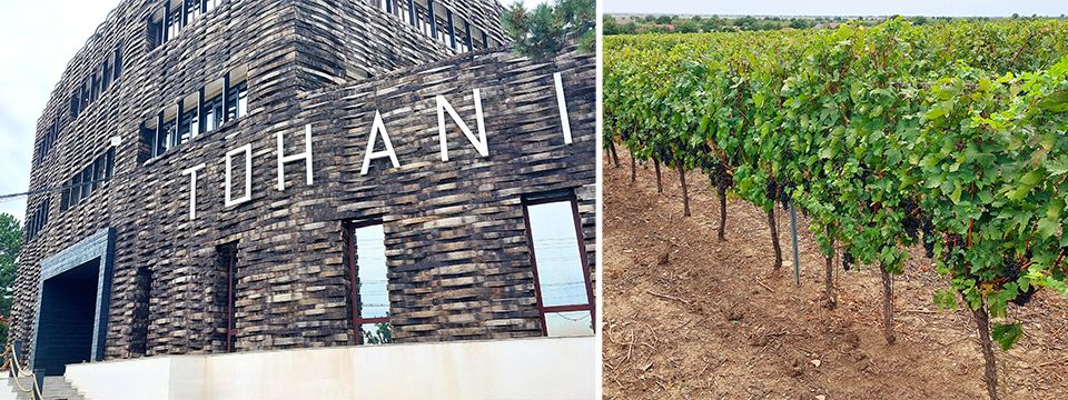 Изысканное вино: Охладители Trane Rental помогают румынскому винному заводу расширить мощности
