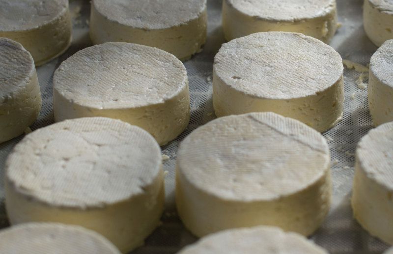 Mehr Nachhaltigkeit für Käserei durch Trane Prozesskältesystem
