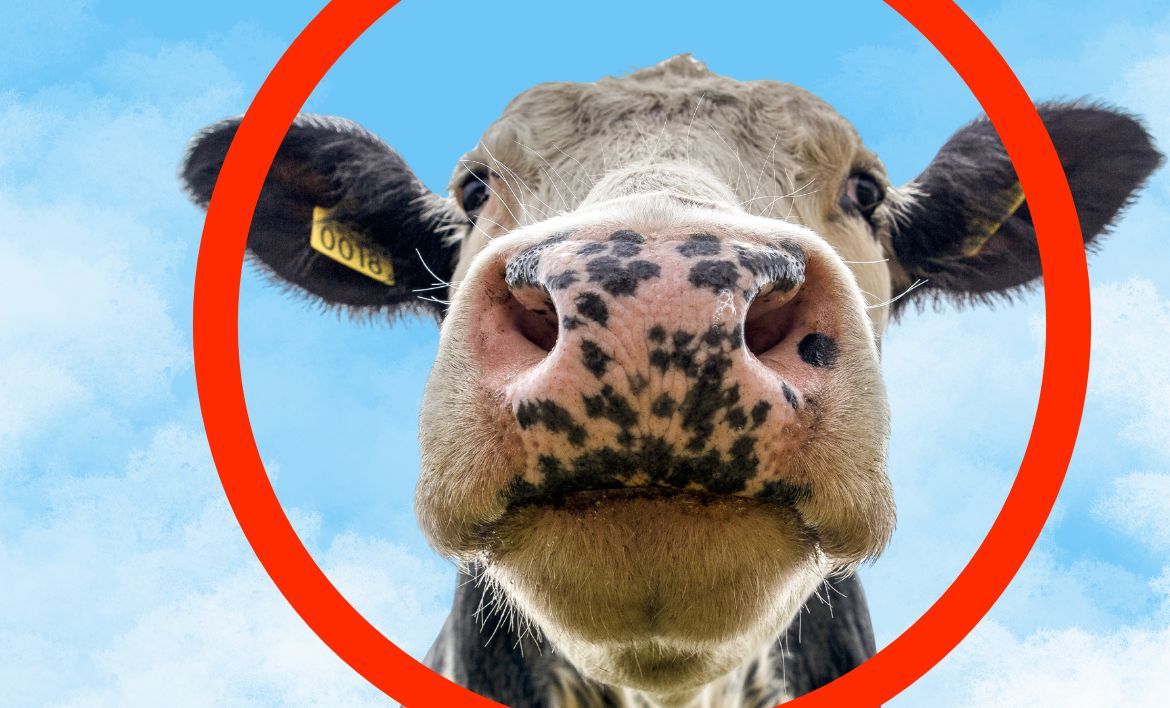 Unlocking major efficiencies in dairy production processes through integrated thermal management systems