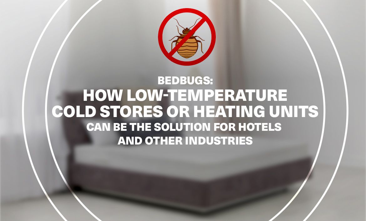 Cimici dei letti: Come le celle frigorifere a bassa temperatura o le unità di riscaldamento possono essere la soluzione per gli hotel e altre industrie