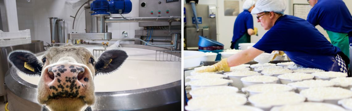Dairy process