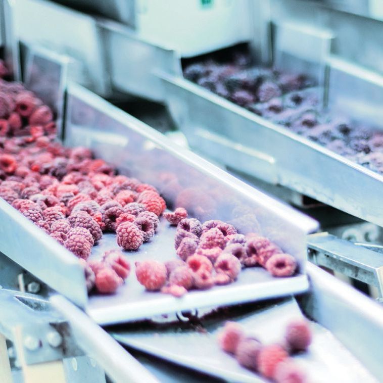 Agroalimentaire